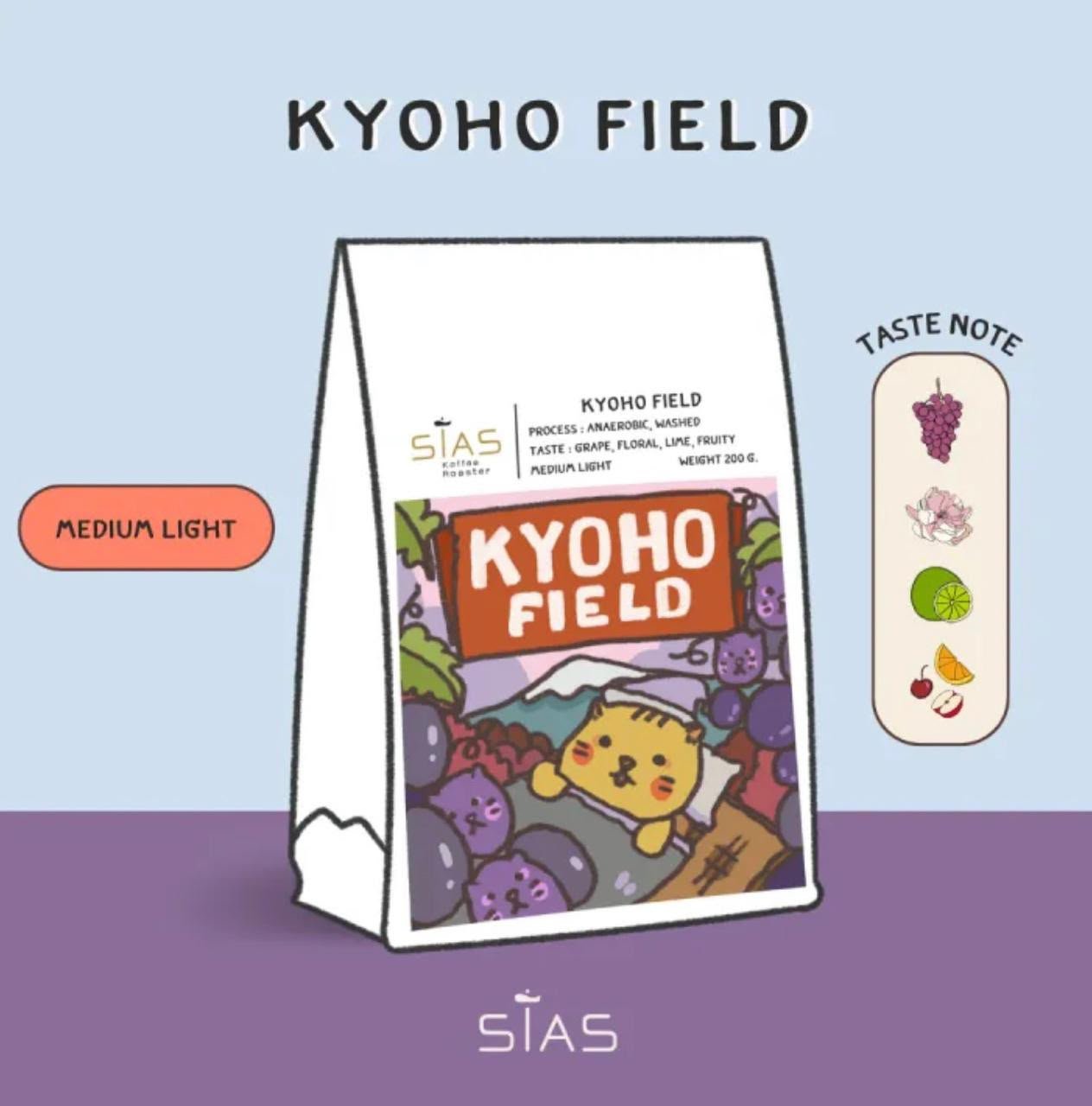 SISAS-koyoho field-V60